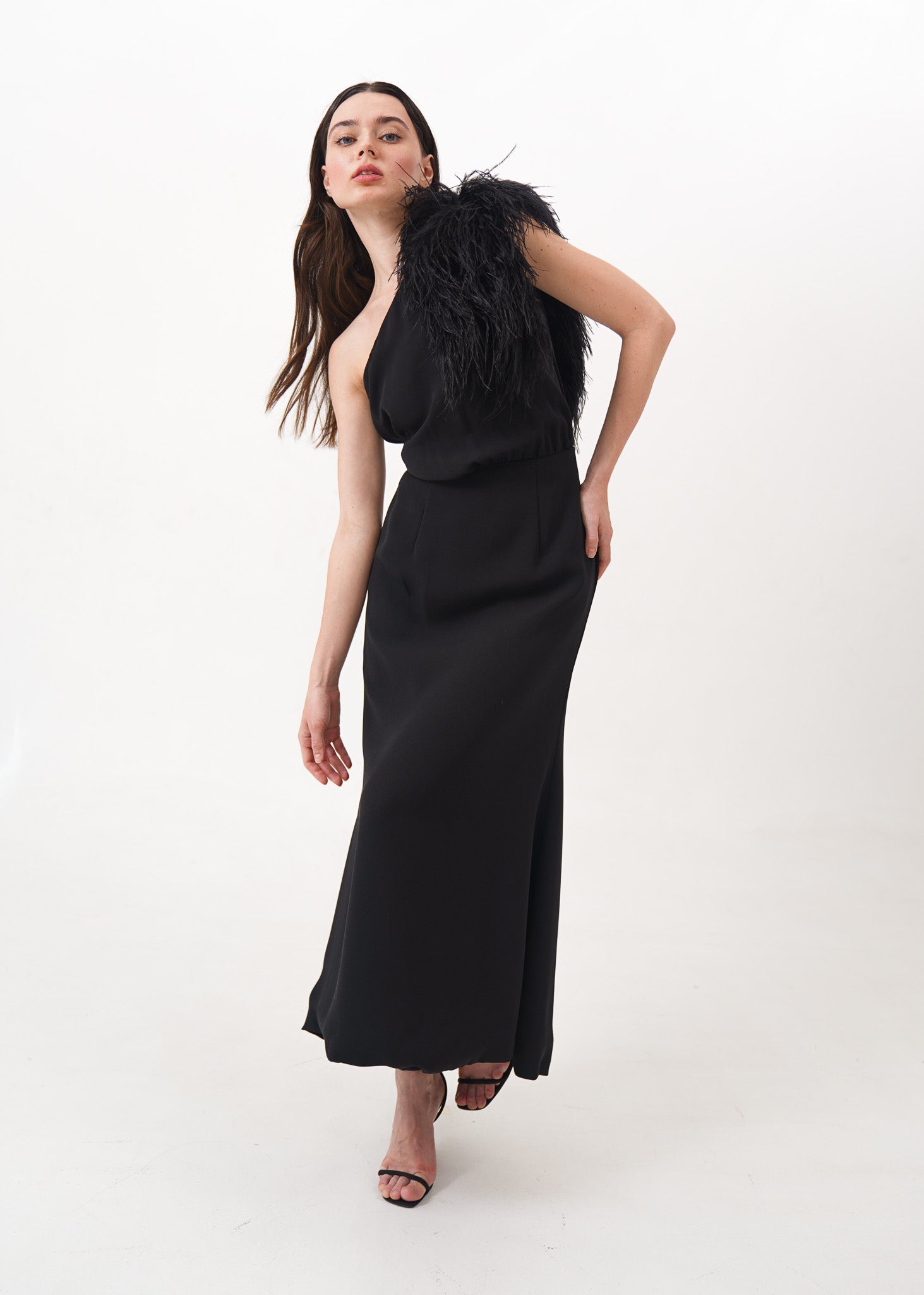 Black One Shoulder Gown with Feather Detail