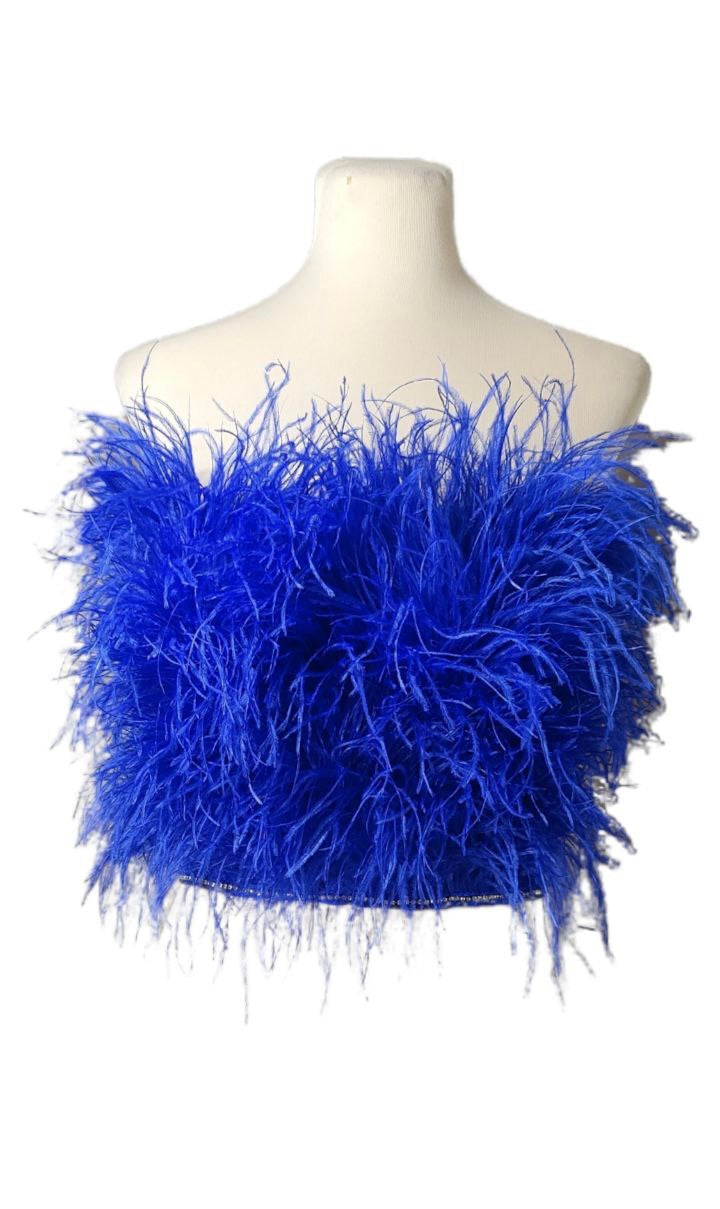 Blue Feather Bustier Top