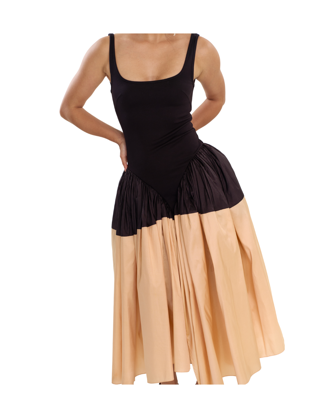 Alina Two Tone Silk Dress