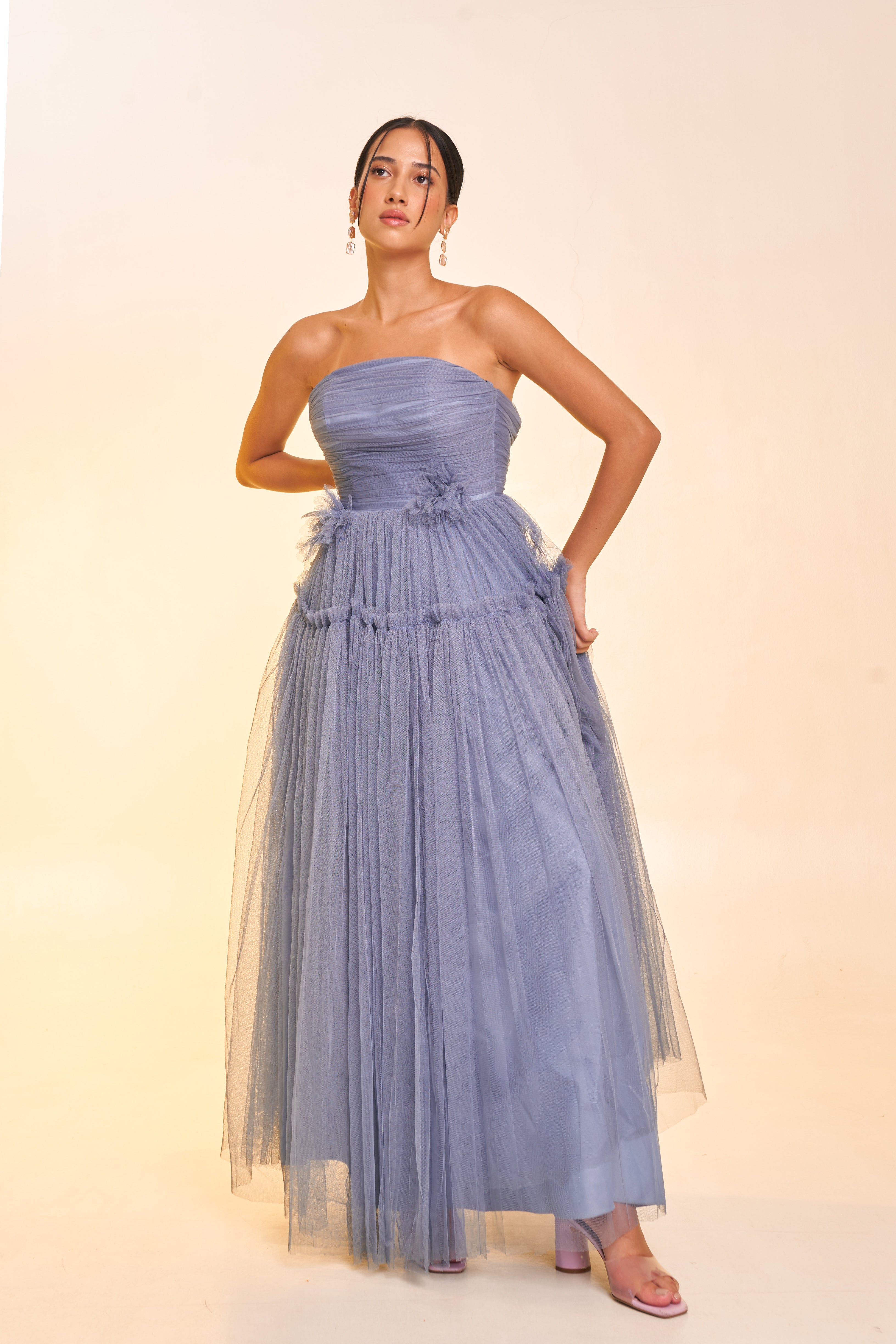 Blue Tulle Gown