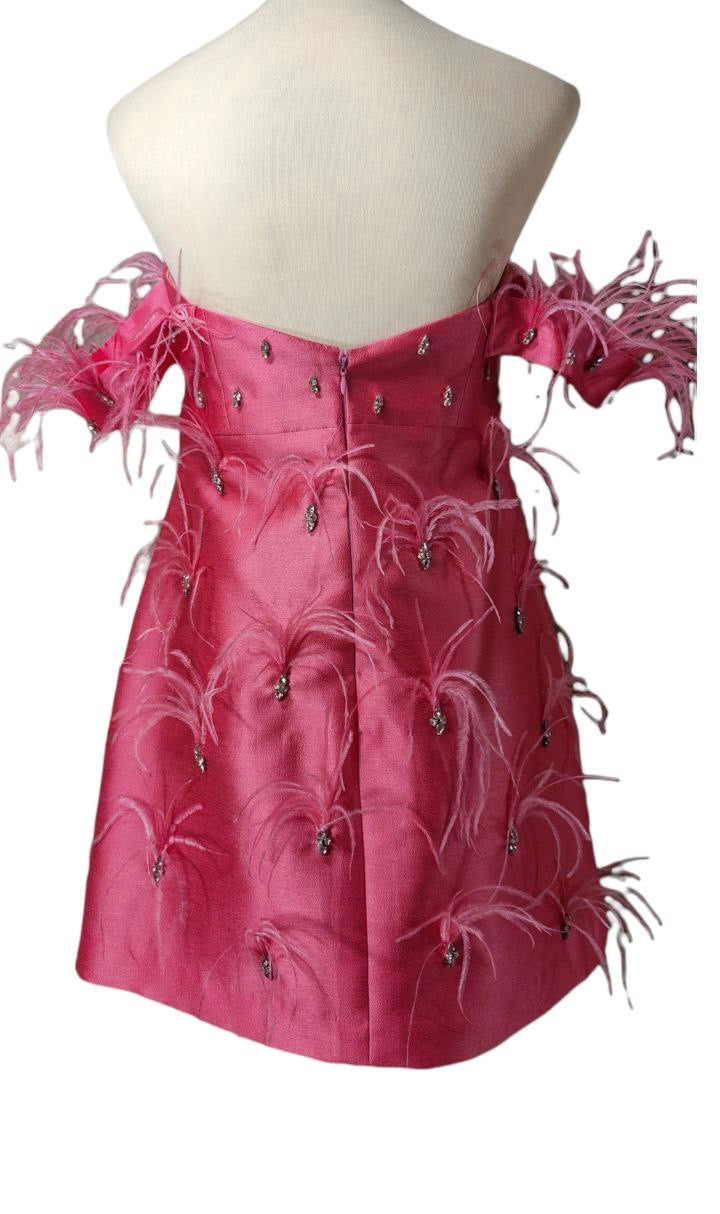 Pink Off Shoulder Mini Dress with Feather Embellishments