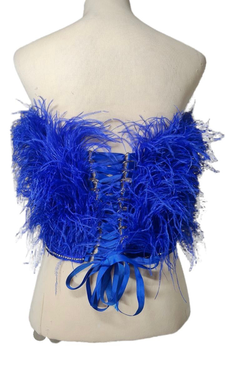 Blue Feather Bustier Top
